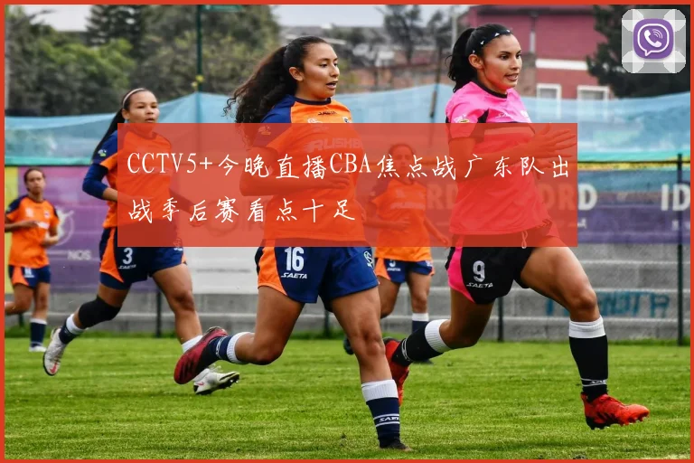 CCTV5+今晚直播CBA焦点战广东队出战季后赛看点十足